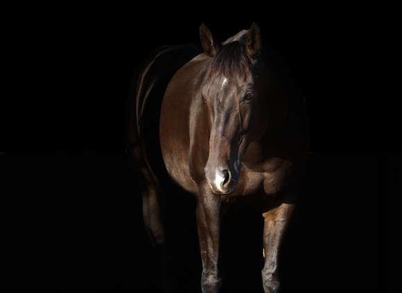 Teri_Horses-1014-Edit